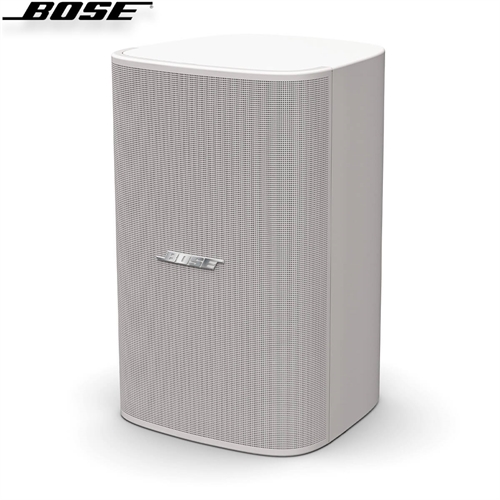 Loa Bose DesignMax DM8S 2